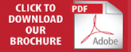 PDF Download